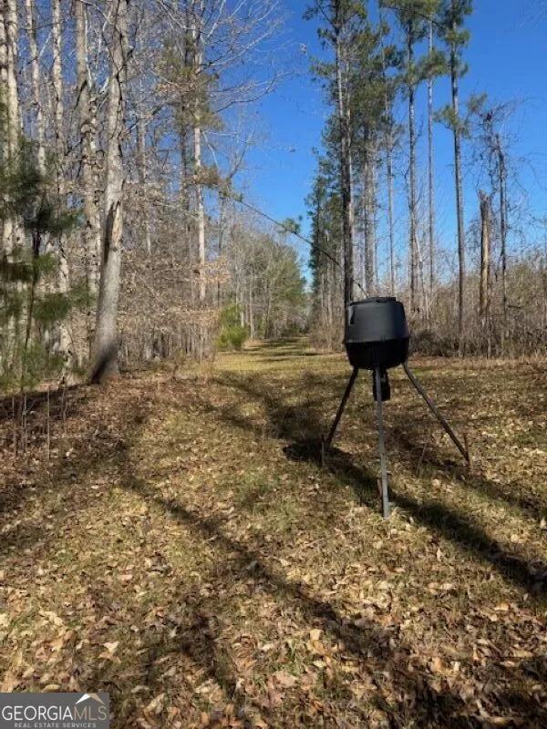 0 Brown Creek RD Shiloh, GA 31826