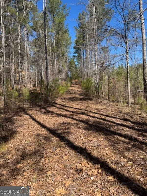 0 Brown Creek RD Shiloh, GA 31826