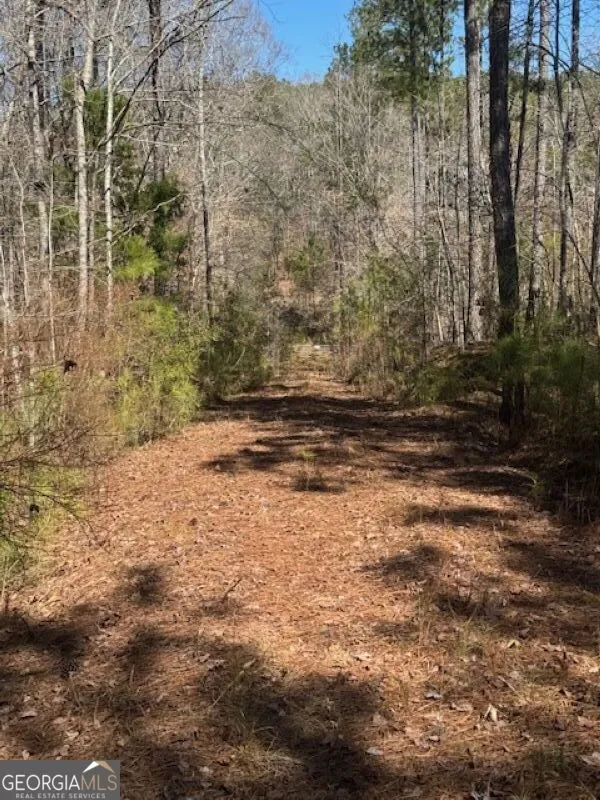 0 Brown Creek RD Shiloh, GA 31826