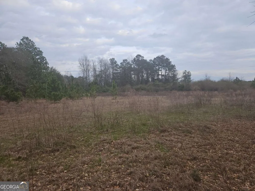 0 Snow Ridge RD Ashburn, GA 31714