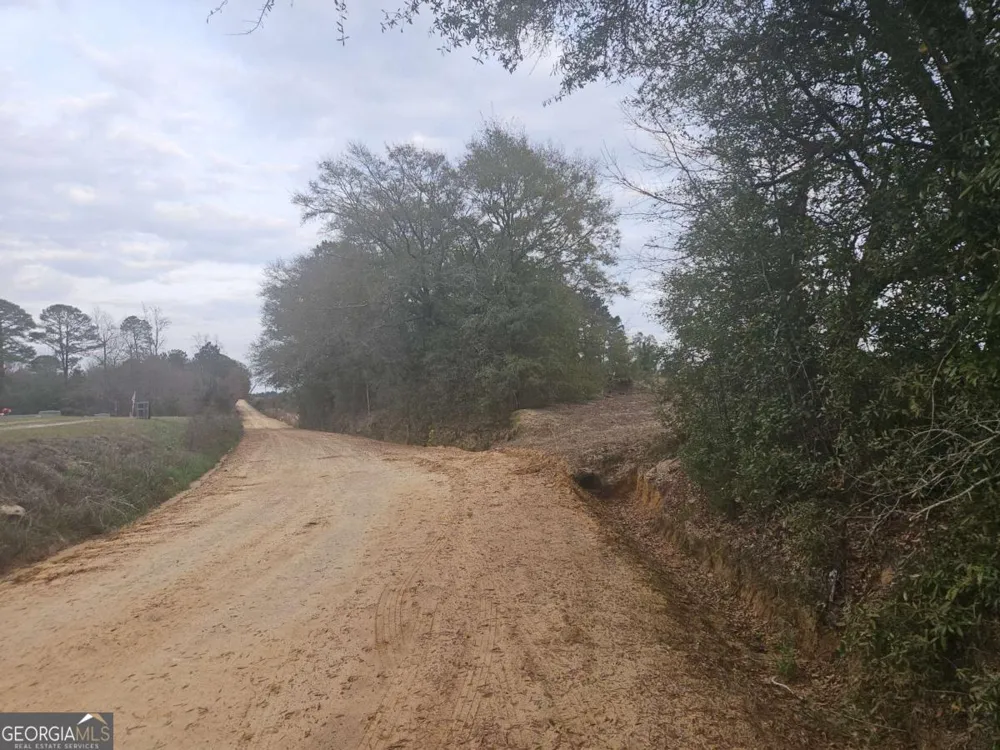0 Snow Ridge RD Ashburn, GA 31714