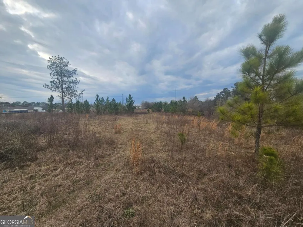 0 Snow Ridge RD Ashburn, GA 31714