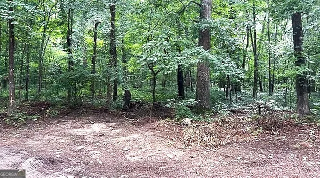 3871 Martin DR Ellenwood, GA 30294