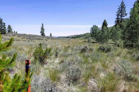 Cochetopa Trail