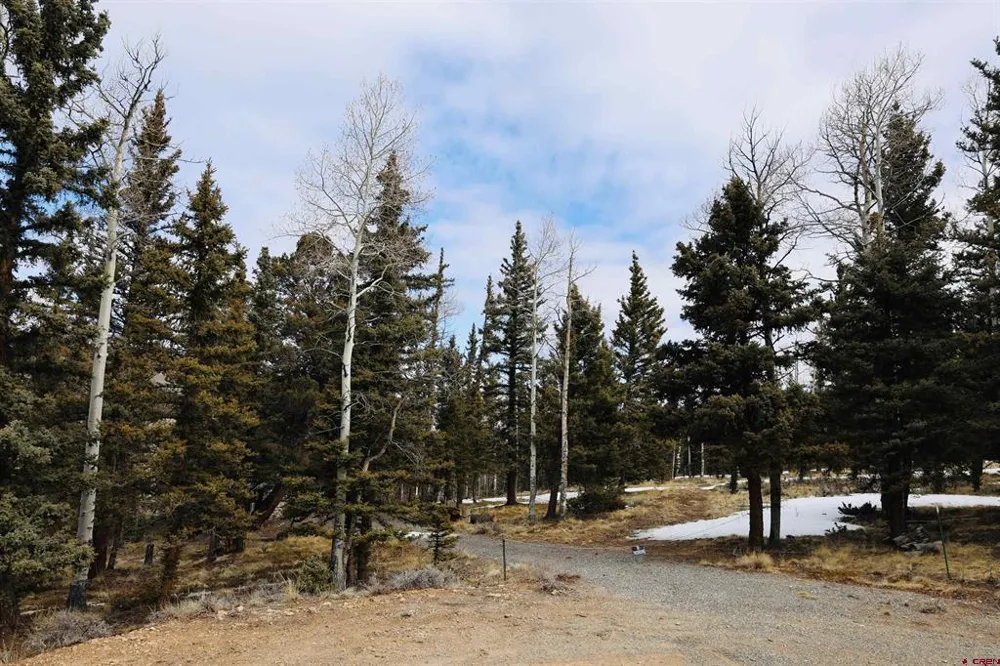Cochetopa Trail Powderhorn, CO 81243
