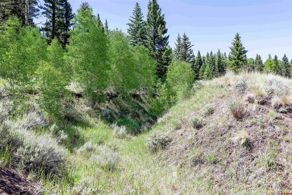 Cochetopa Trail Powderhorn, CO 81243