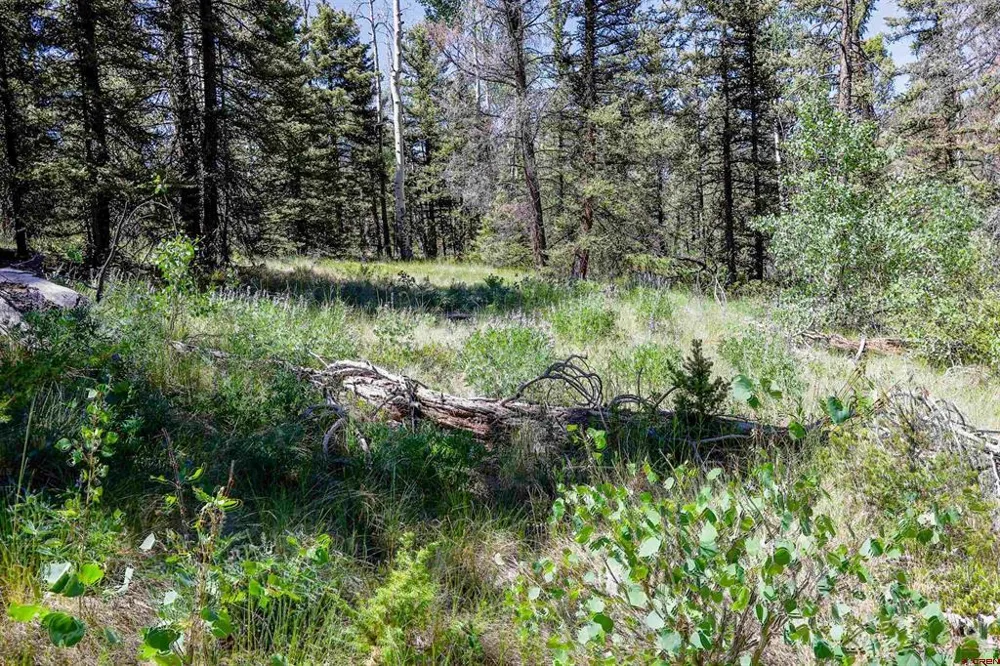Cochetopa Trail Powderhorn, CO 81243