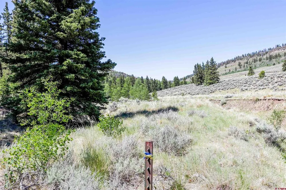 Cochetopa Trail Powderhorn, CO 81243