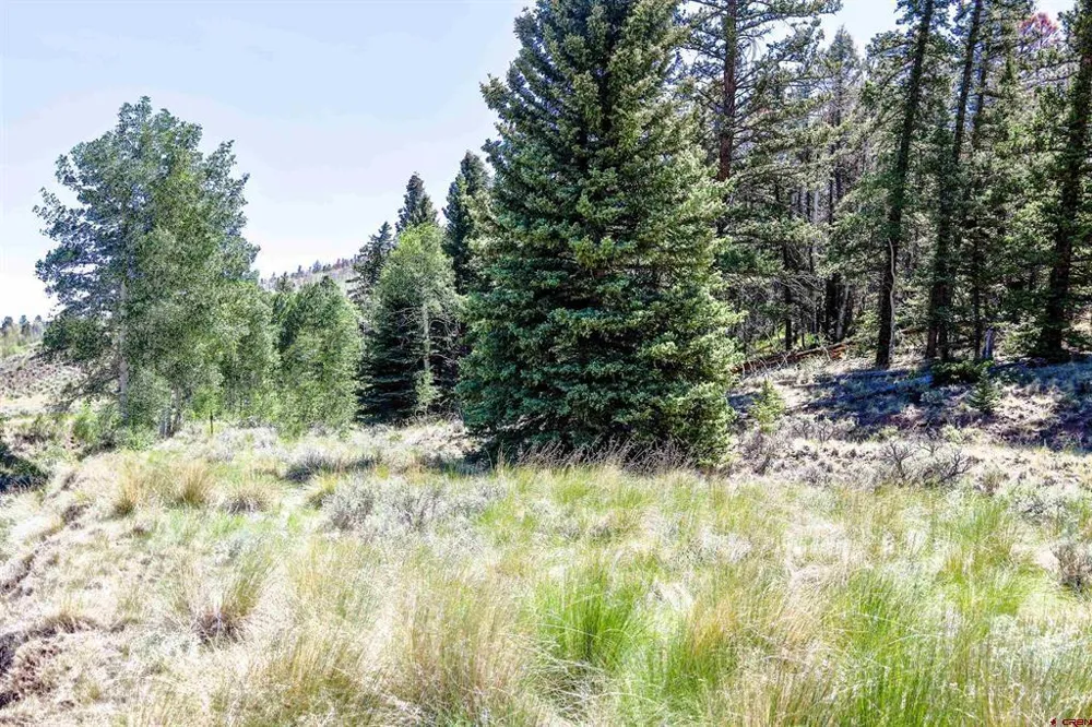 Cochetopa Trail Powderhorn, CO 81243