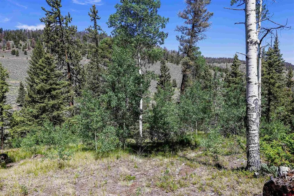 Cochetopa Trail Powderhorn, CO 81243