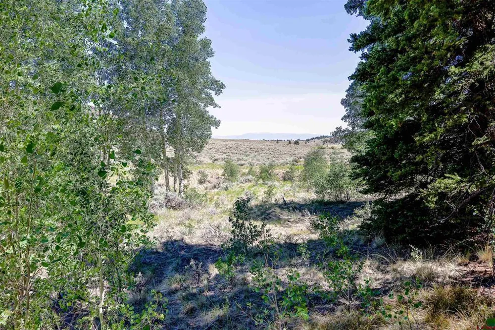 Cochetopa Trail Powderhorn, CO 81243