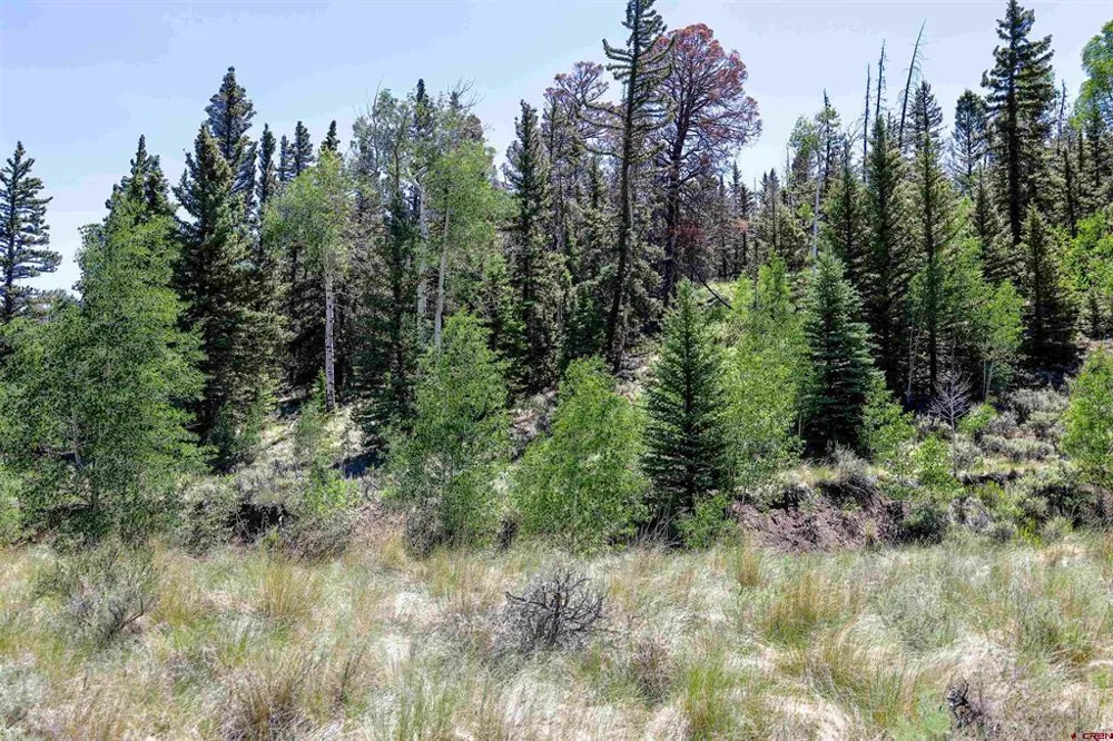 Cochetopa Trail Powderhorn, CO 81243