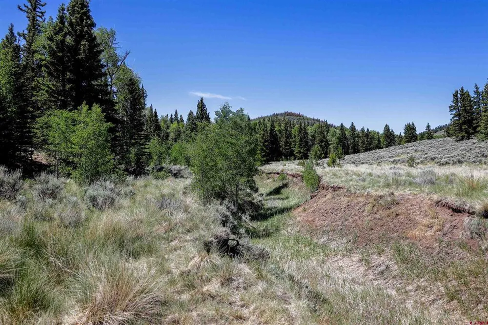 Cochetopa Trail Powderhorn, CO 81243