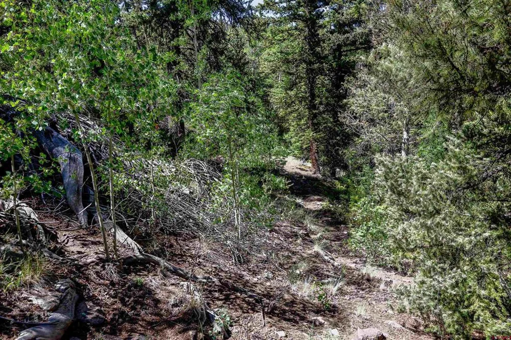 Cochetopa Trail Powderhorn, CO 81243