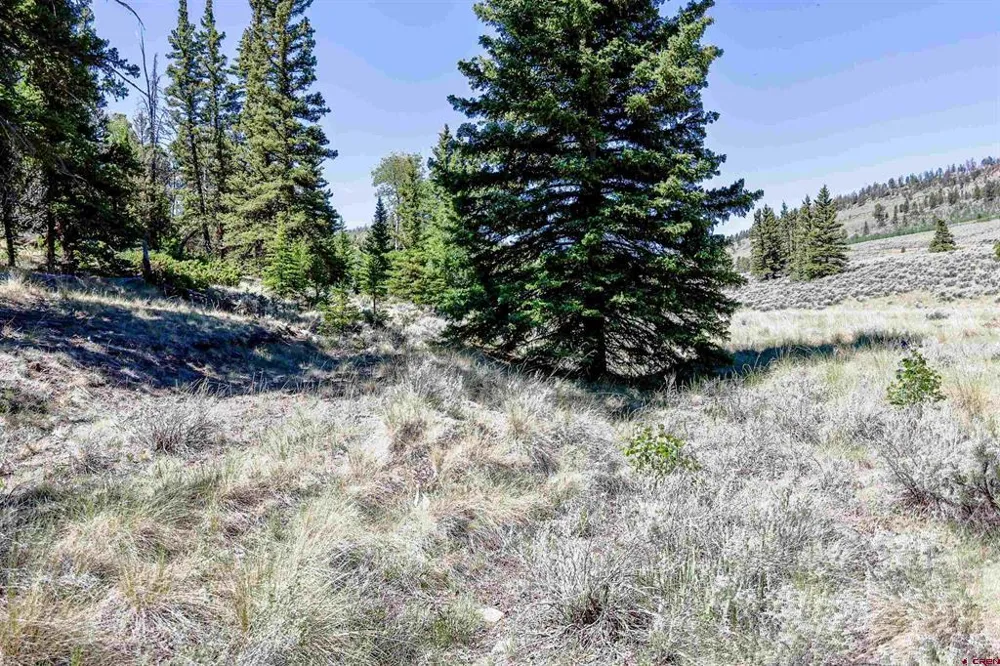 Cochetopa Trail Powderhorn, CO 81243