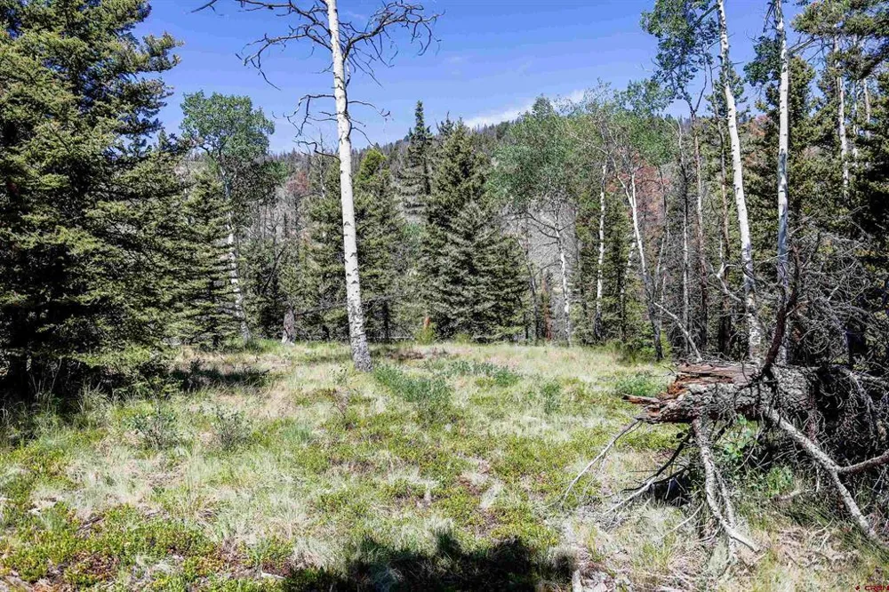 Cochetopa Trail Powderhorn, CO 81243