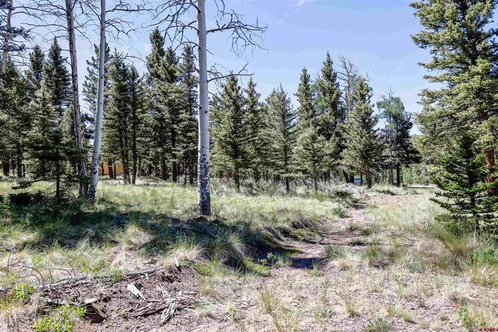 Cochetopa Trail Powderhorn, CO 81243