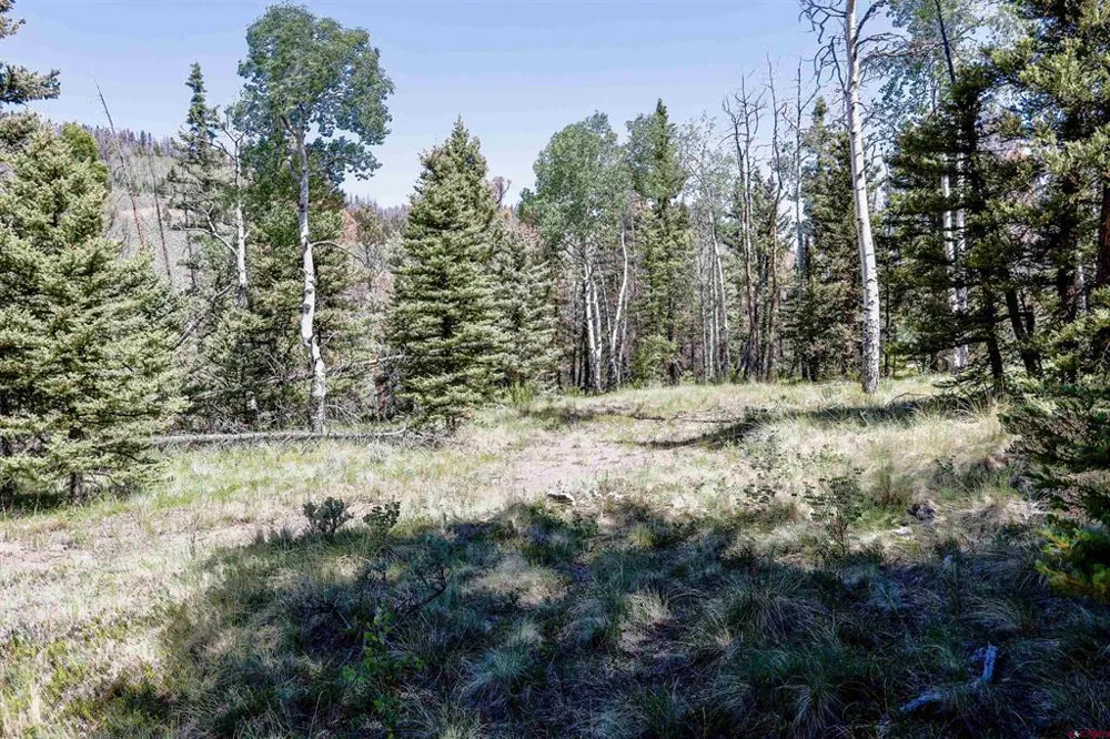 Cochetopa Trail Powderhorn, CO 81243