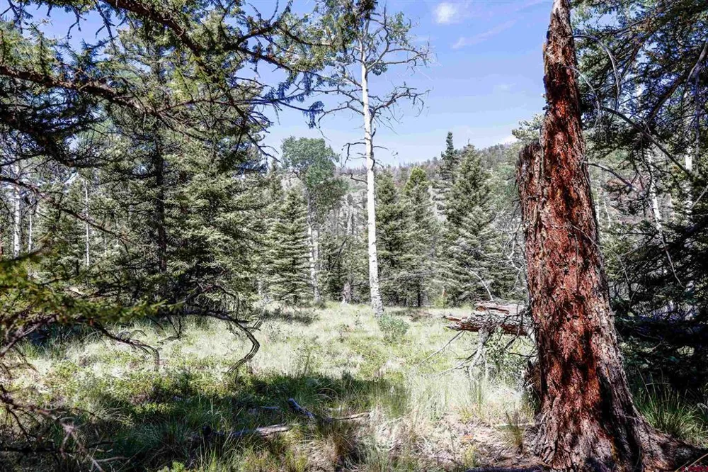 Cochetopa Trail Powderhorn, CO 81243