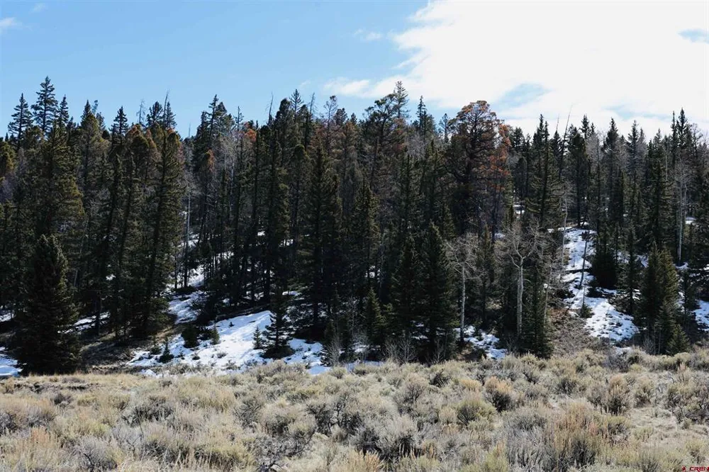 Cochetopa Trail Powderhorn, CO 81243