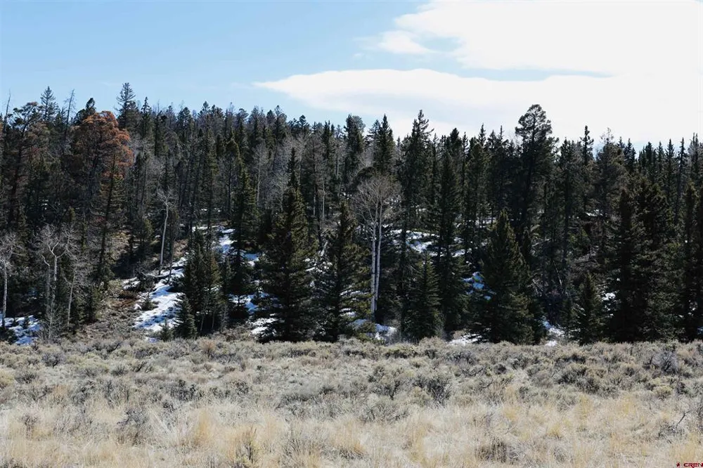 Cochetopa Trail Powderhorn, CO 81243