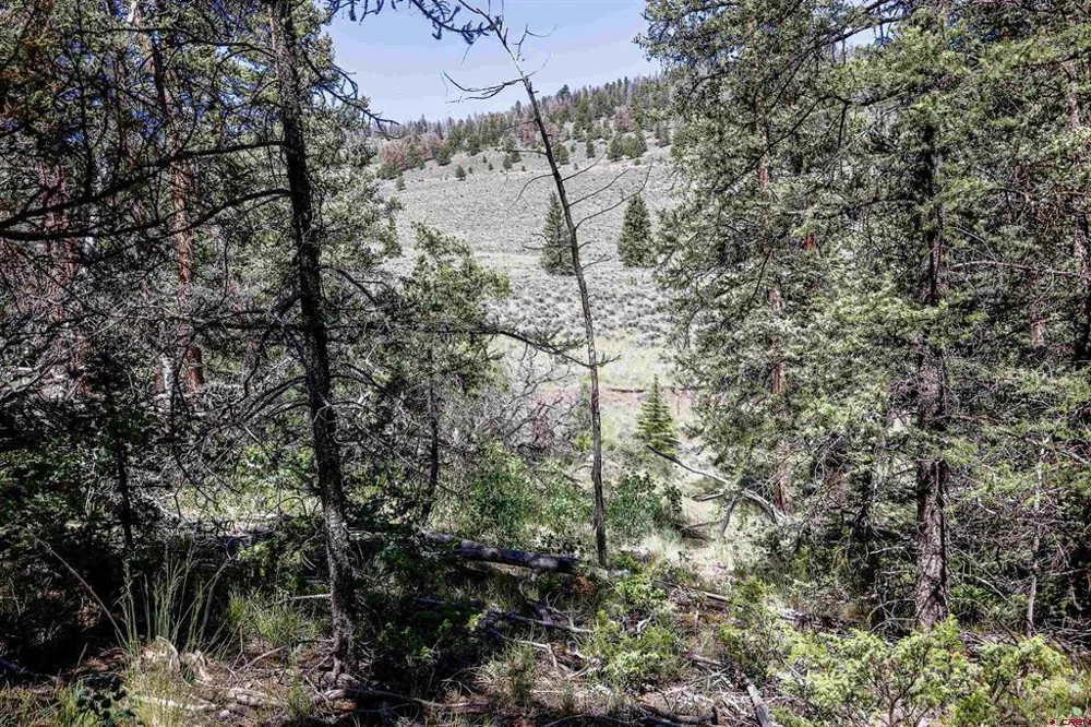 Cochetopa Trail Powderhorn, CO 81243