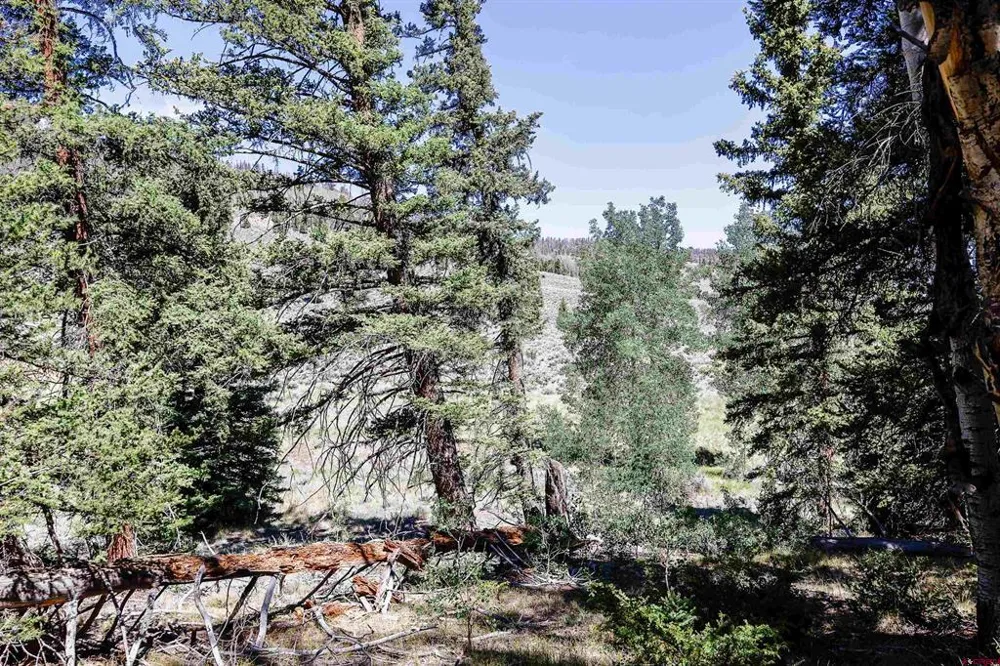 Cochetopa Trail Powderhorn, CO 81243