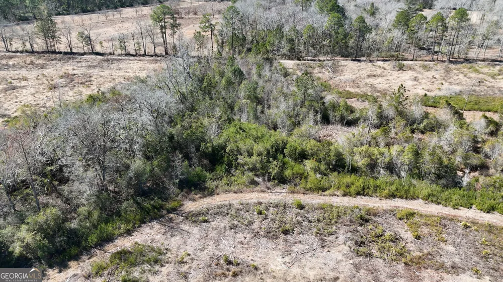 2840 Bay Branch RD Claxton, GA 30417