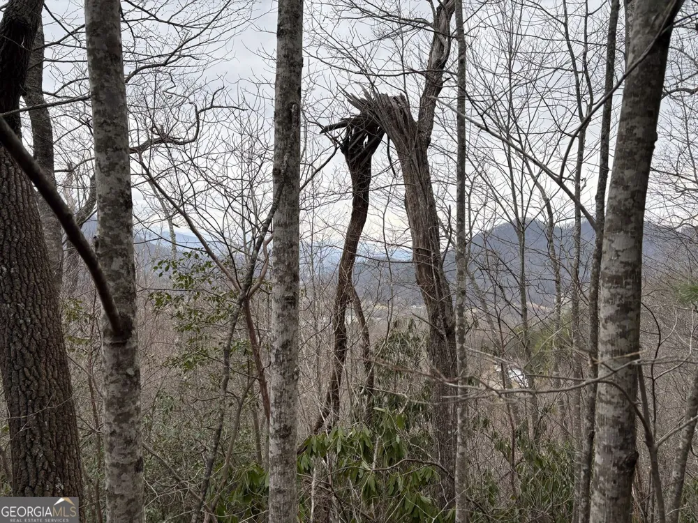 0 Colchester LN Mountain City, GA 30525