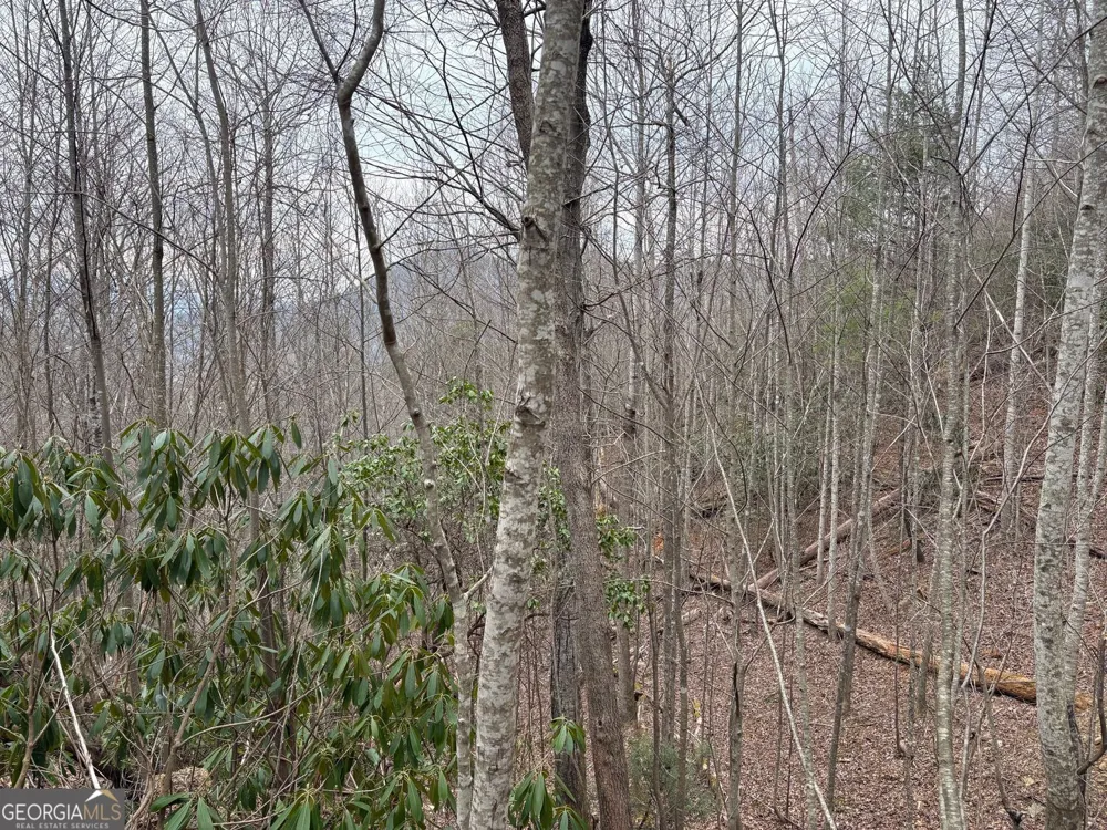 0 Colchester LN Mountain City, GA 30525