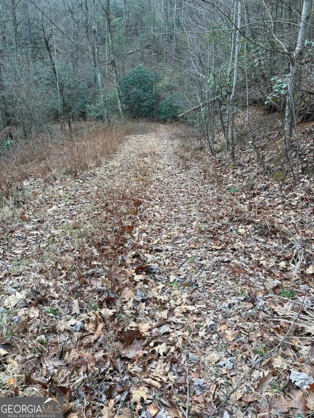0 Colchester LN Mountain City, GA 30525