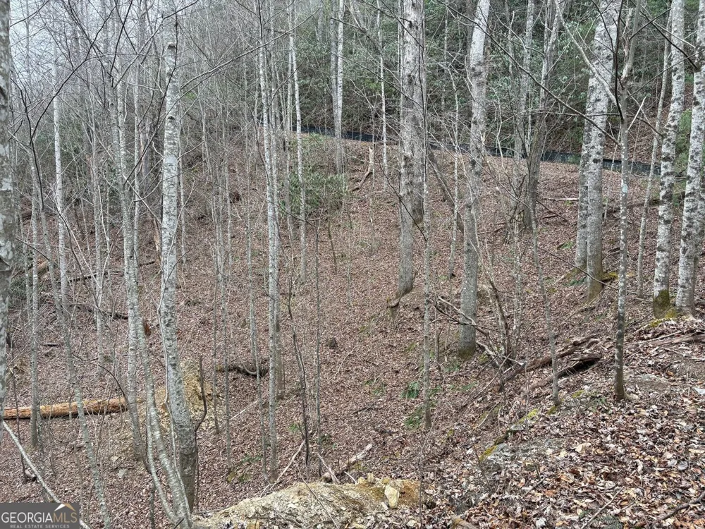 0 Colchester LN Mountain City, GA 30525