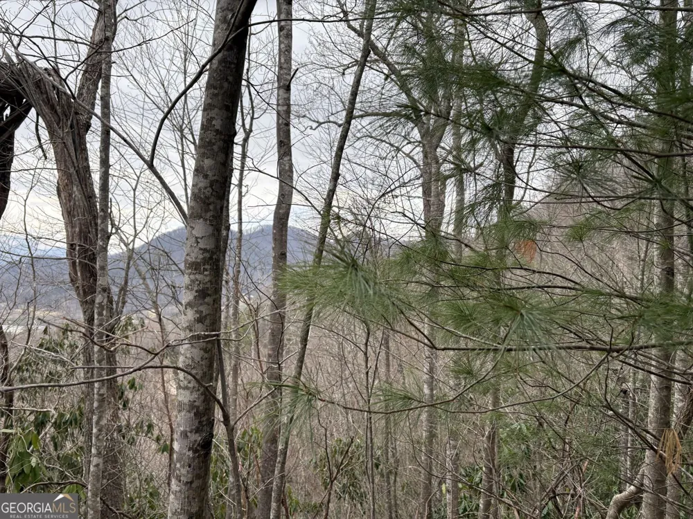 0 Colchester LN Mountain City, GA 30525
