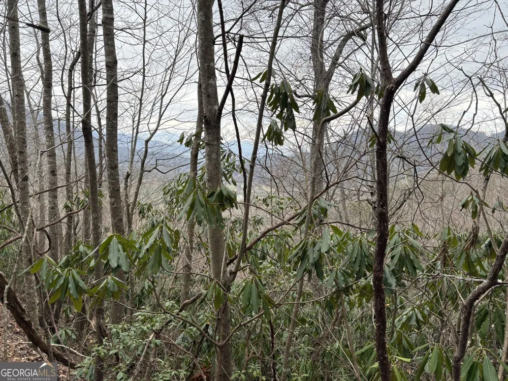 0 Colchester LN Mountain City, GA 30525