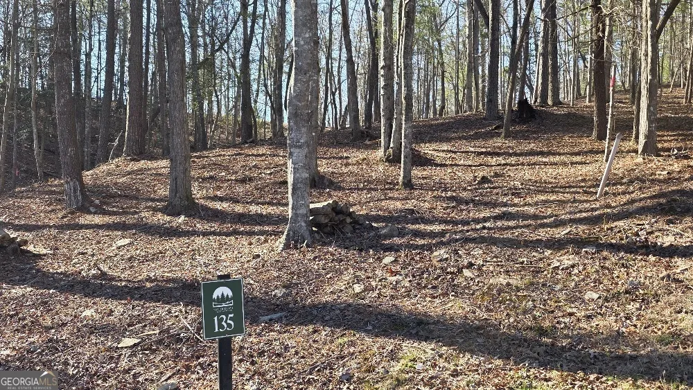 135 Red Oak TRL East Ellijay, GA 30540