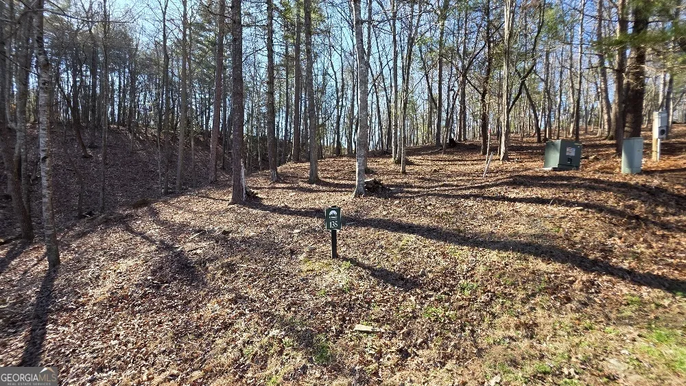 135 Red Oak TRL East Ellijay, GA 30540