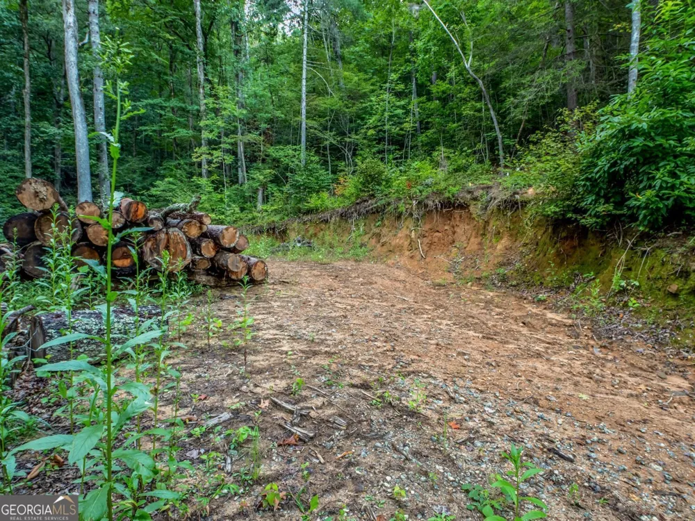 1063 Rickman Airfield RD Clayton, GA 30525