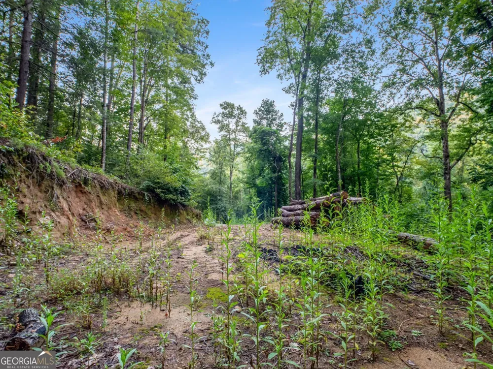 1063 Rickman Airfield RD Clayton, GA 30525