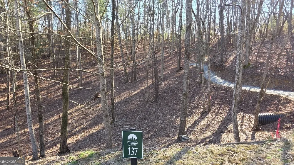 137 Red Oak TRL East Ellijay, GA 30540