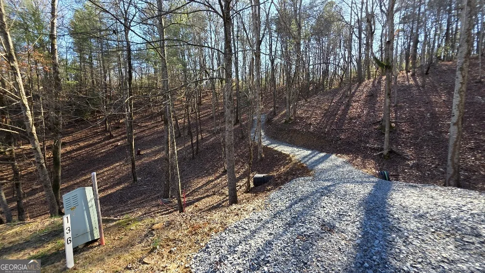 137 Red Oak TRL East Ellijay, GA 30540