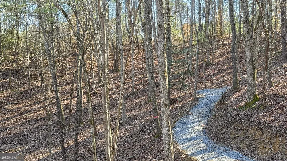 137 Red Oak TRL East Ellijay, GA 30540