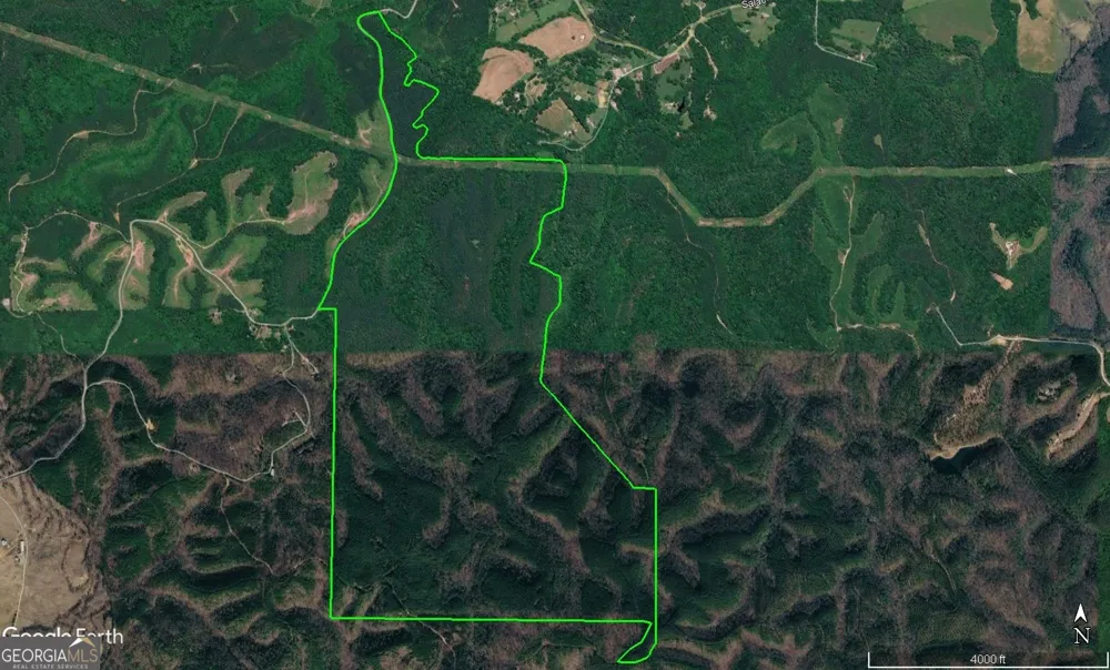 0 Johnson Mountain RD Rydal, GA 30171