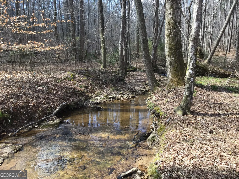 0 Johnson Mountain RD Rydal, GA 30171