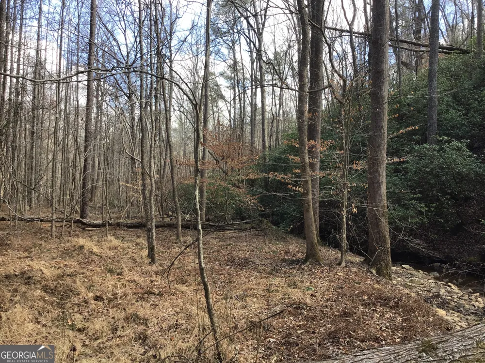 0 Johnson Mountain RD Rydal, GA 30171