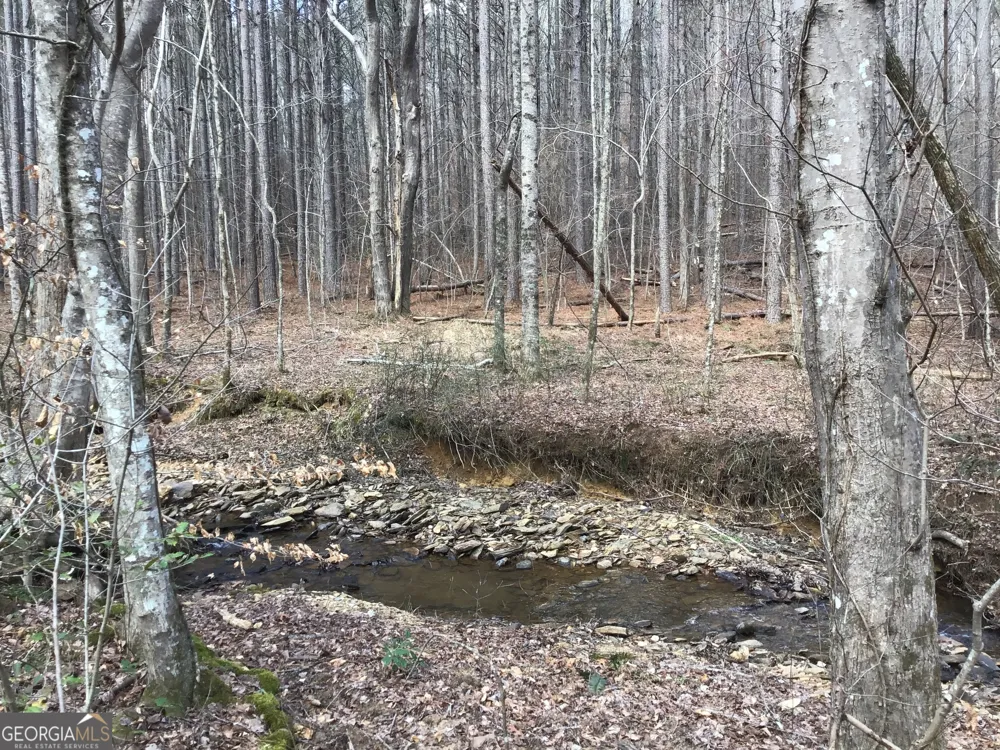 0 Johnson Mountain RD Rydal, GA 30171