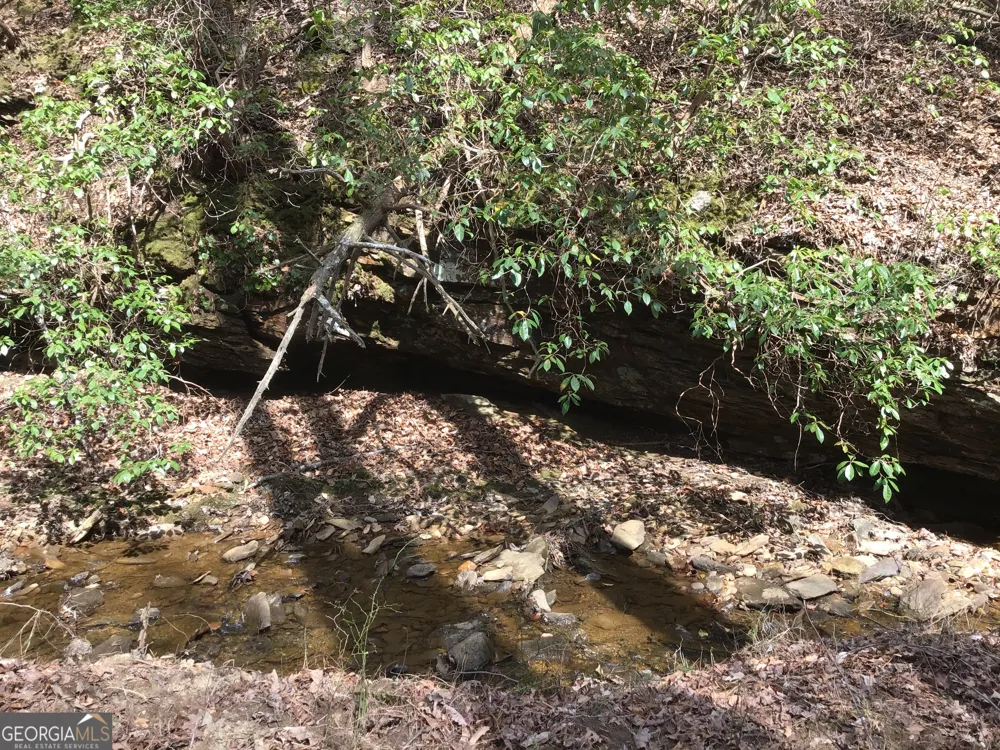 0 Johnson Mountain RD Rydal, GA 30171