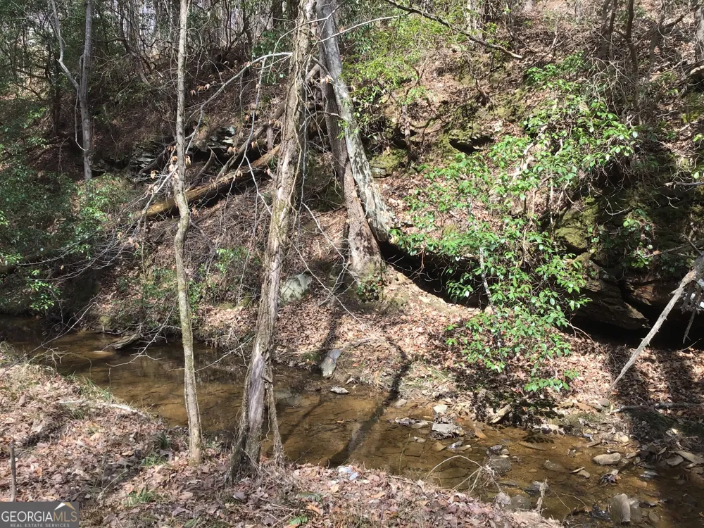 0 Johnson Mountain RD Rydal, GA 30171