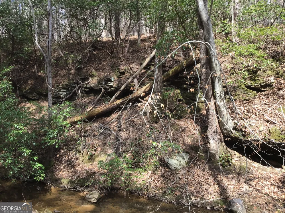 0 Johnson Mountain RD Rydal, GA 30171