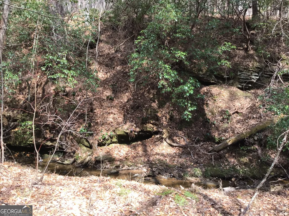 0 Johnson Mountain RD Rydal, GA 30171
