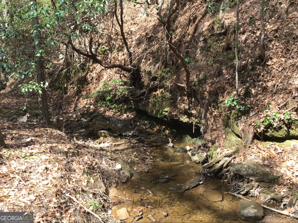 0 Johnson Mountain RD Rydal, GA 30171